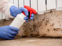 Mold Remediation for Vacation Homes in Cortland, OH